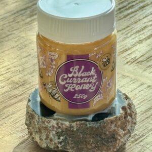 Blackcurrant Honey 250g